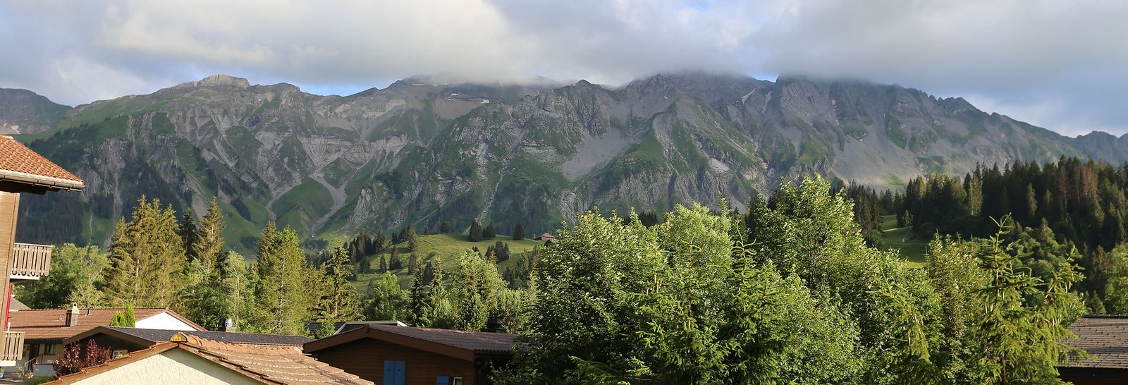 ed4617_1f5cff5c9dc94a5bb40474a7ad70f9e6~mv2 (2)