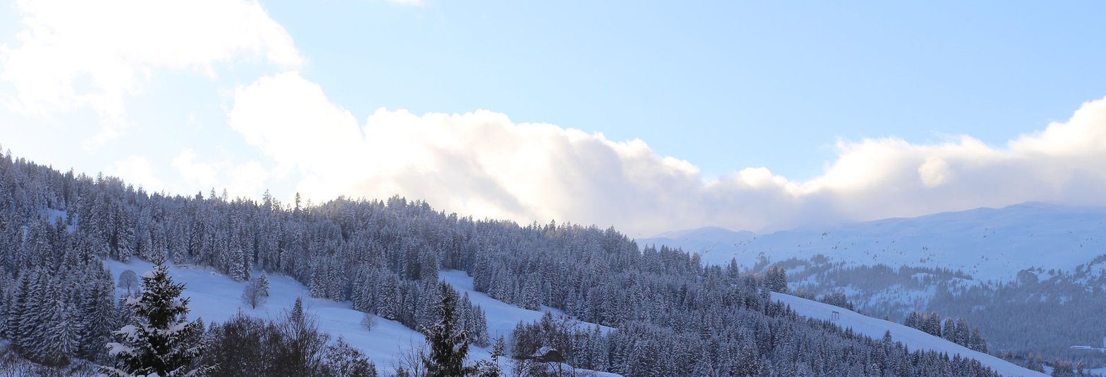 ed4617_5fd345c53cca4a0da780791d10daf5f7~mv2 (1)