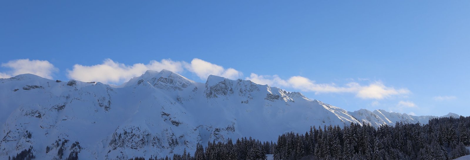 ed4617_a8cc7e0bcbab4be797f82056b4dd9563~mv2