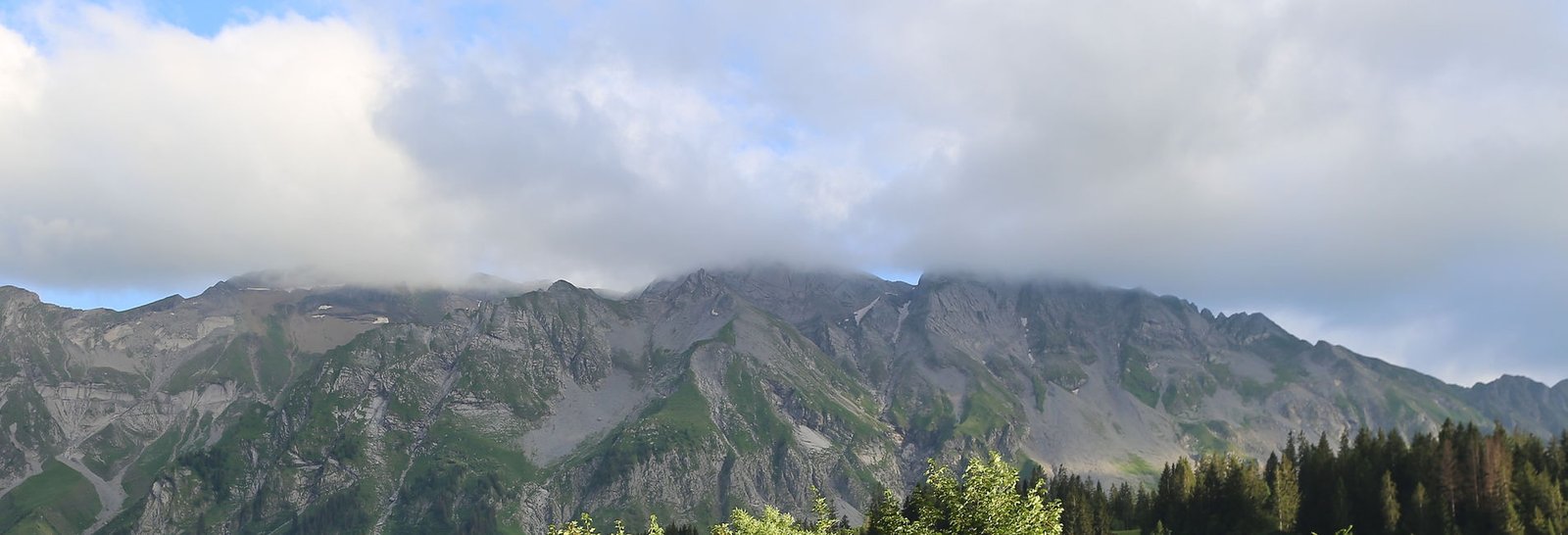 ed4617_eb76d343825740bb96ccd2c635e1e50a~mv2